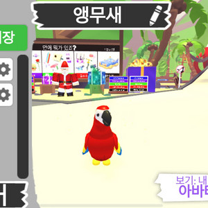 입양하세요 날타 앵무새 팔아요