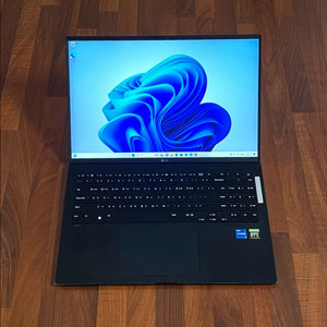 LG그램16 외장그래픽 RTX2050 16GB 블랙