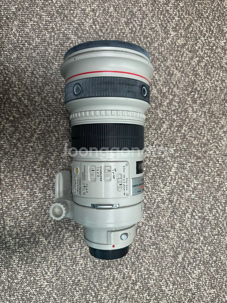 캐논 EF 300mm F2.8 렌즈--2