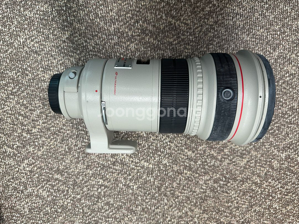 캐논 EF 300mm F2.8 렌즈--3