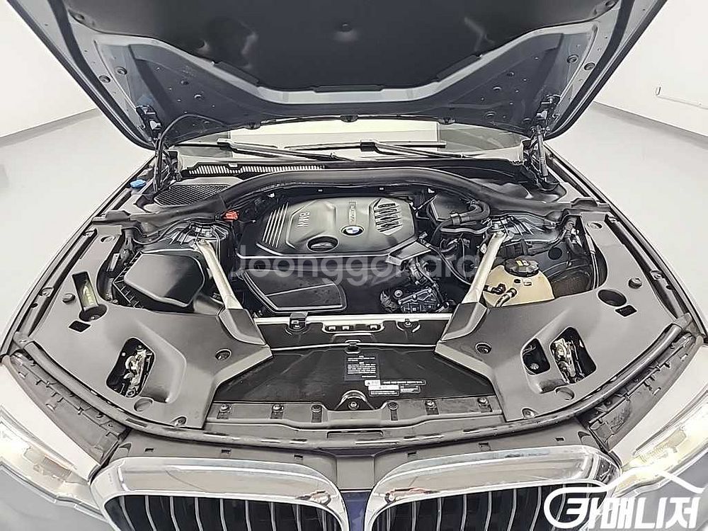 [BMW]5시리즈 (G30) 520d xDrive M--4