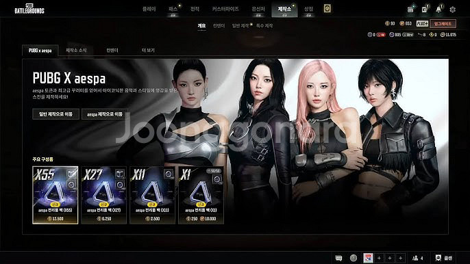 배그 카리나 스킨--0