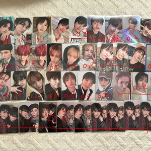 보넥도 보이넥스트도어 성호리우재현태산이한운학 포카 양도