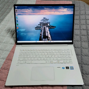 LG그램 17인치 노트북 17ZD990,16G 512G
