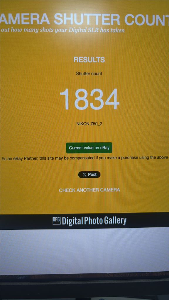 니콘 Z50ii + 단렌즈 2개 구성 (1834컷)--9