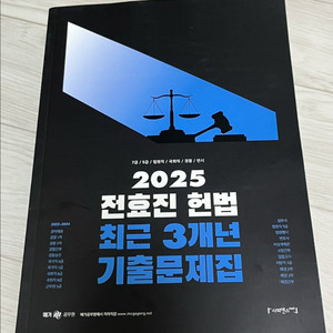 전효진 헌법 기출