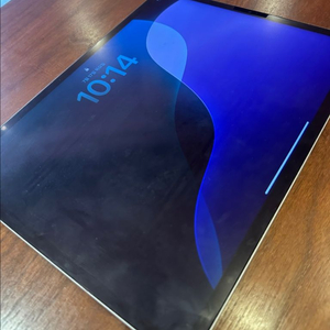 아이패드 프로 12.9 6세대128기가 급처