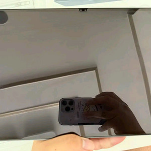 갤럭시탭 S10 울트라 5G 256 셀룰러 판매합니다