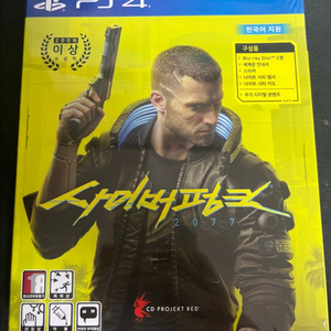 사이버펑크 2077