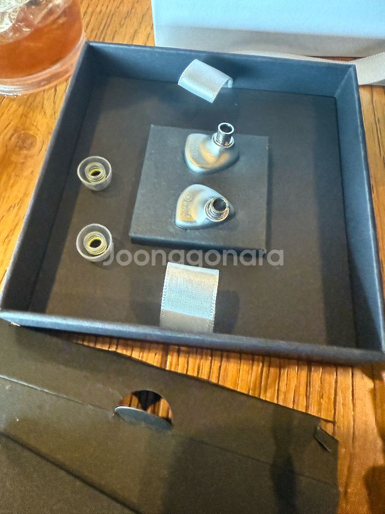 엘리시안 필그림 이어폰 (보증기간 남음!)--0