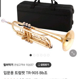 뮐러트럼펫 tr-905 Bb도