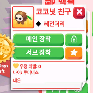 입양하세요 N코코넛 친구