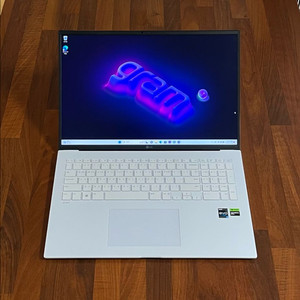 LG그램17 외장그래픽 RTX3050 16GB 노트북