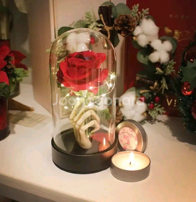 한정판 비아케이 할로윈 다크 로즈돔 LED 무드등--1