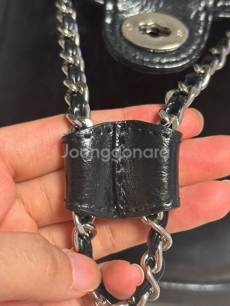 카디널레드하우아백--7