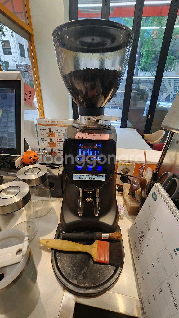 펠리체 그라인더 (2022년)--0