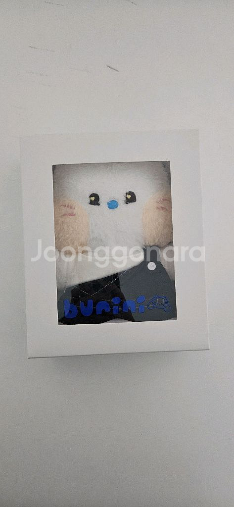 버니니 옷 포함--0