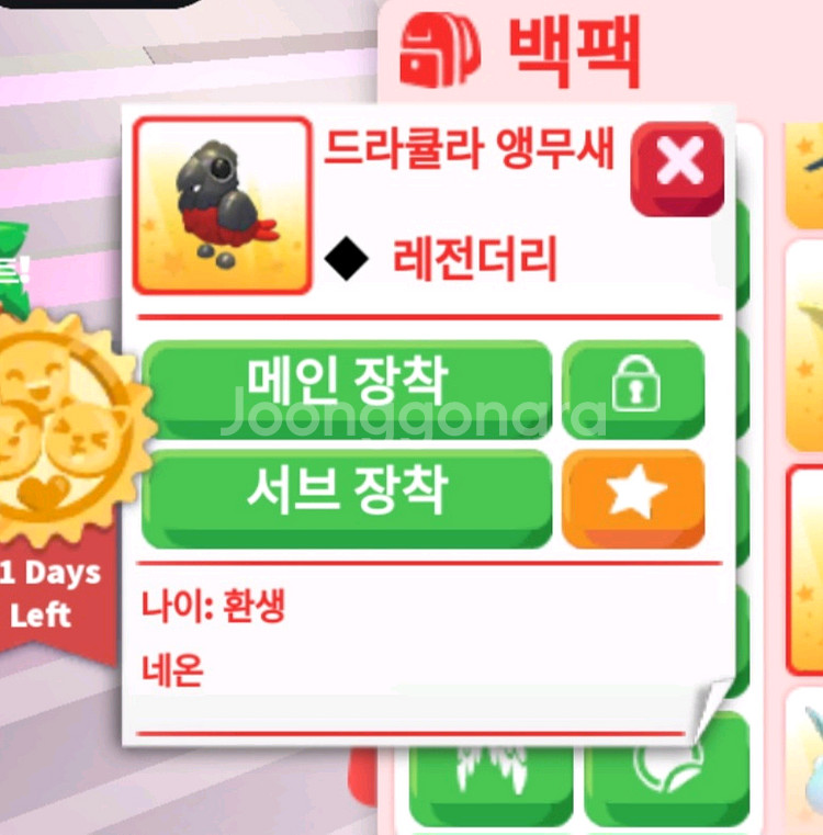입양하세요 N드라큘라앵무새--0