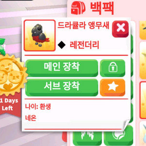 입양하세요 N드라큘라앵무새
