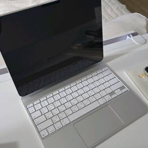 아이패드프로 13 m4 1tb 셀룰러 팔아요~