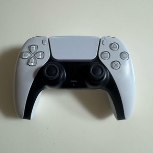 PS5 듀얼센스 화이트