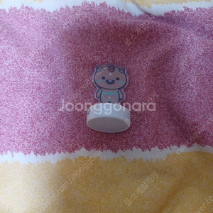 로스트아크 로아 호문도장