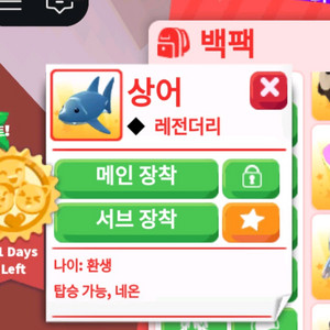입양하세요 NR상어