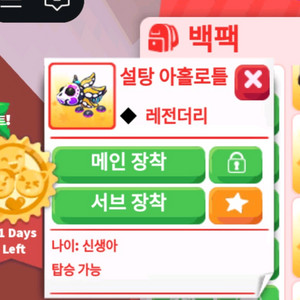 입양하세요 R설탕 아홀로틀
