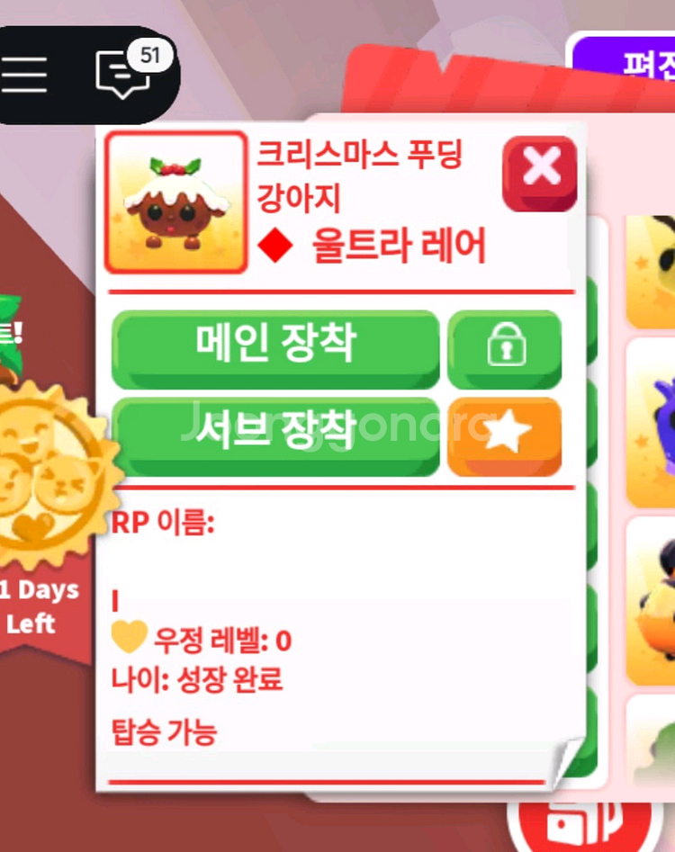 입양하세요 R푸딩강아지--0