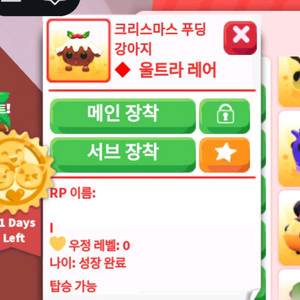 입양하세요 R푸딩강아지