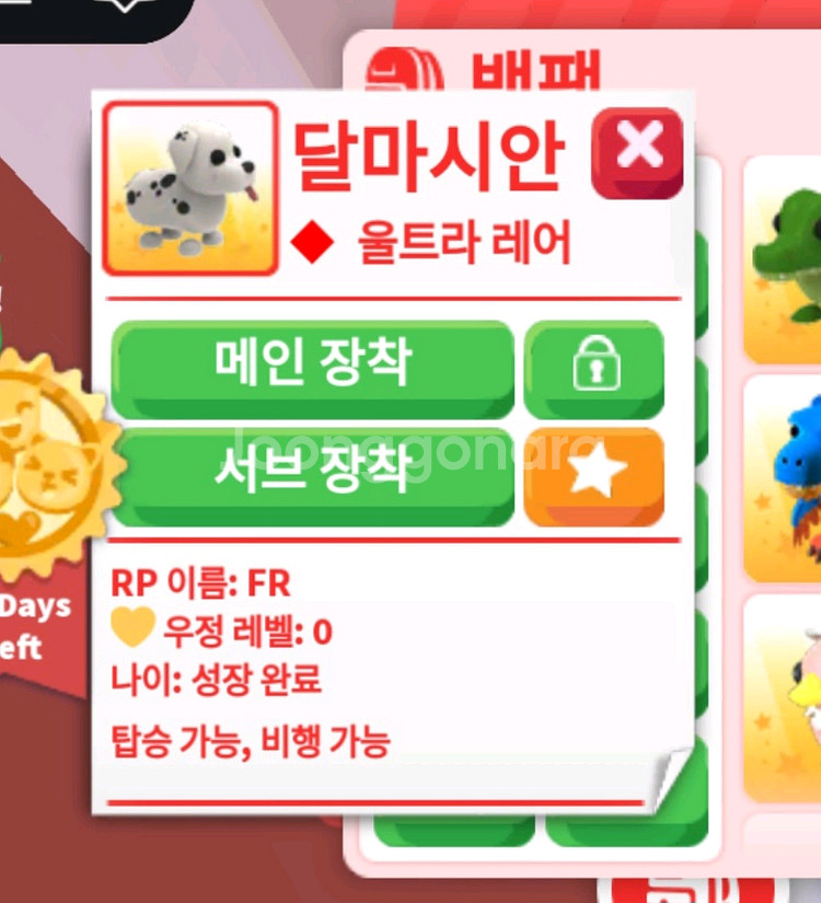 입양하세요 FR달마시안(산강)--0