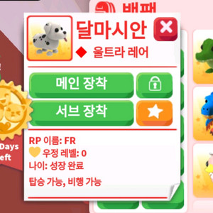 입양하세요 FR달마시안(산강)