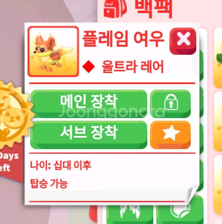 입양하세요 R플레임여우--0