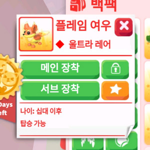 입양하세요 R플레임여우