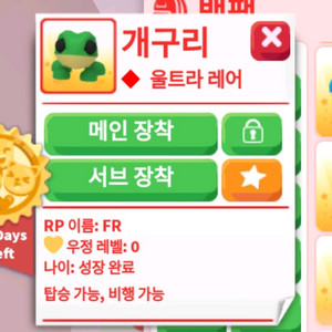 입양하세요 FR개구리