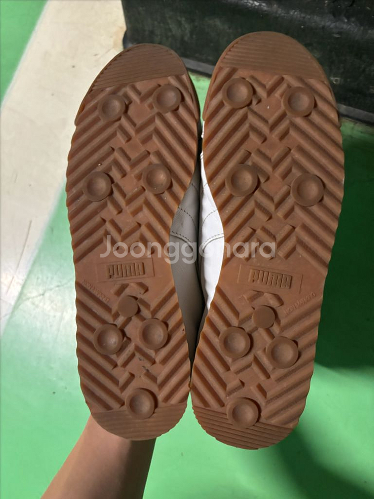 퓨마 메종키츠네 260 265--1