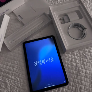 아이패드 미니6 퍼플 256gb wifi + 애플펜슬2