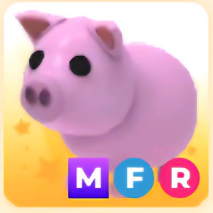 입양하세요 MFR 돼지 (메돼지)