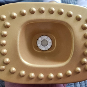 테라노바 에스케어