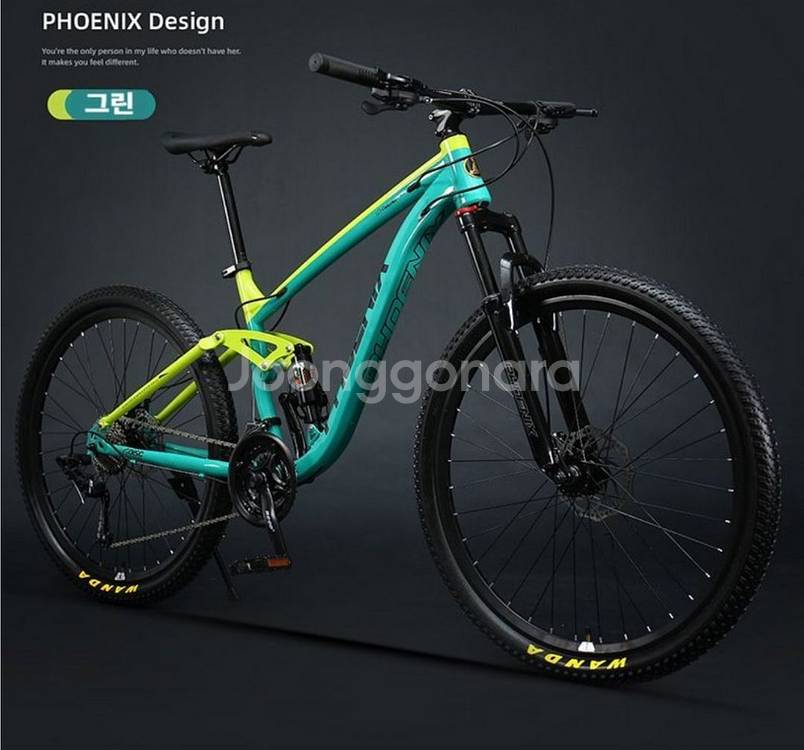 피닉스 MTB 자전거 앞뒤 서스펜션--1