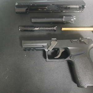 WE M17 GBB