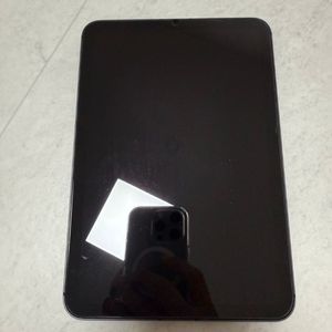 아이패드 미니6 64g 셀룰러 lte
