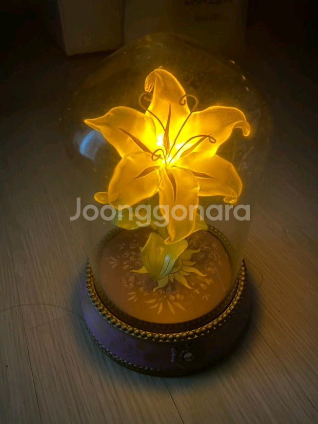 공식 디즈니 라푼젤 마법의 꽃 무드등 LED 판매--0