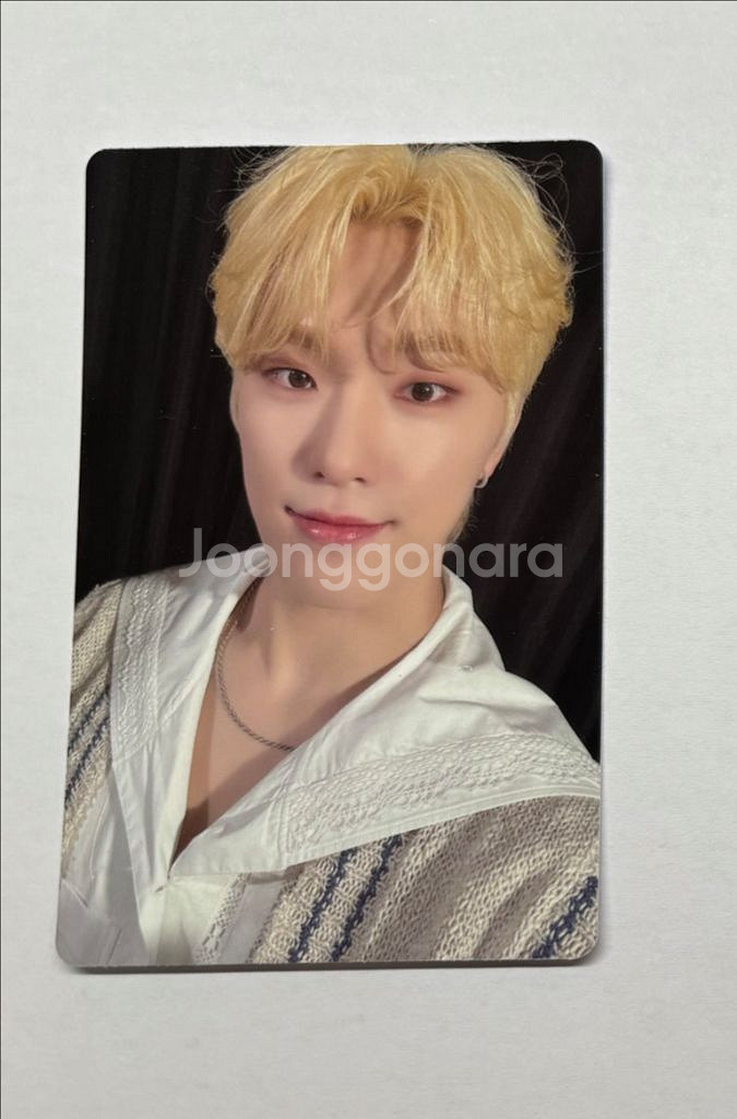 세븐틴 캐럿랜드 캐랜 메모리북 디노 포카--0