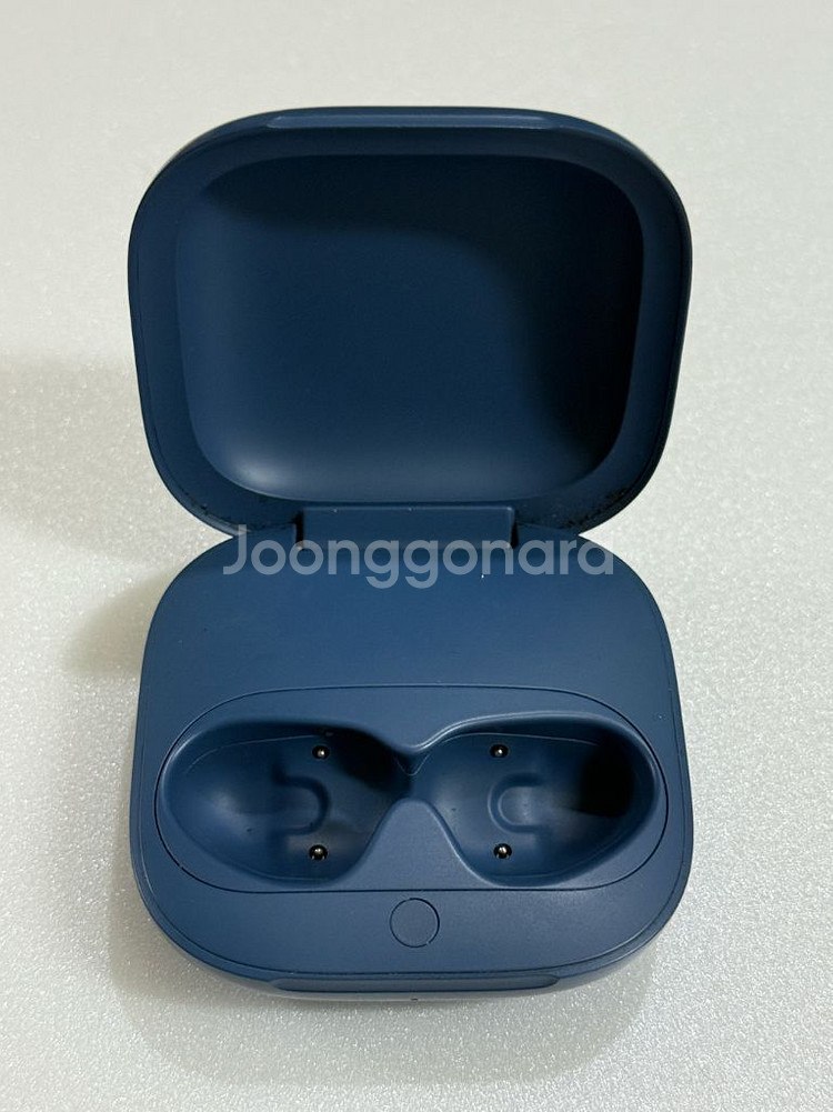 애플 비츠 핏 프로 본체--0