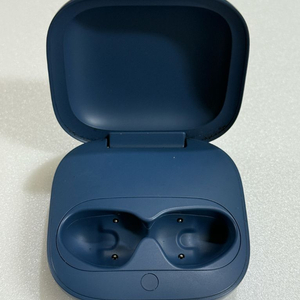 애플 비츠 핏 프로 본체