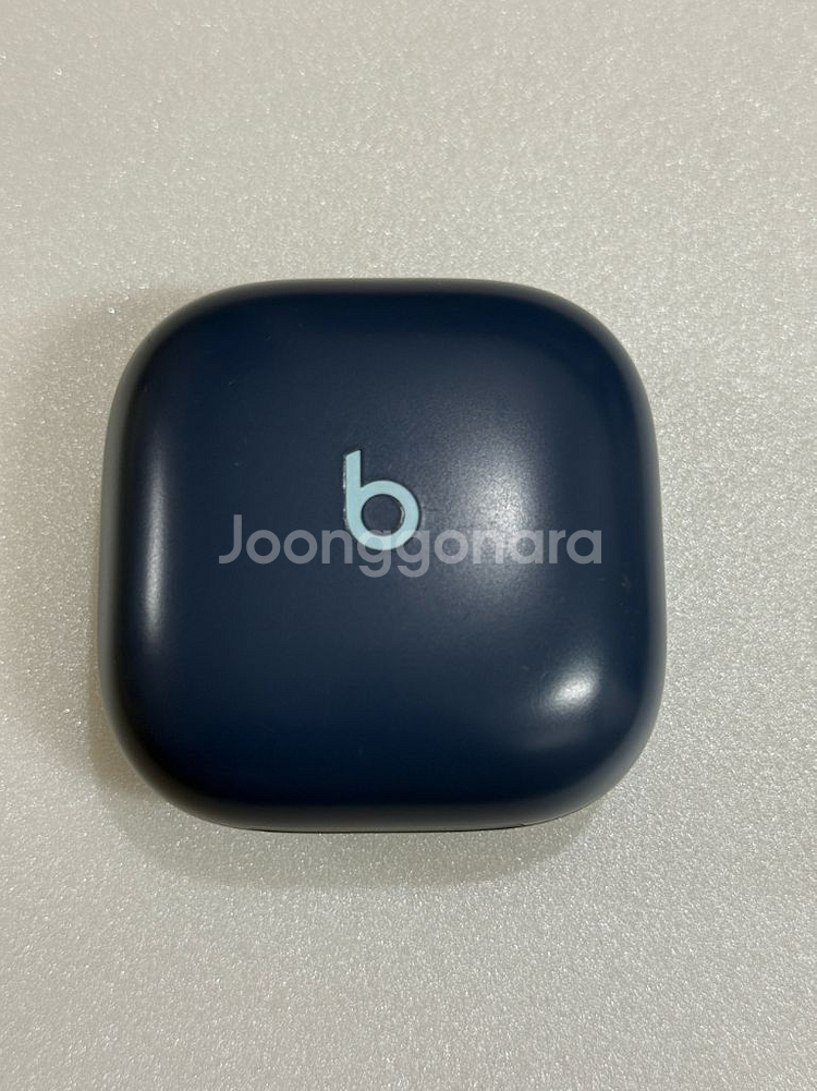 애플 비츠 핏 프로 본체--1