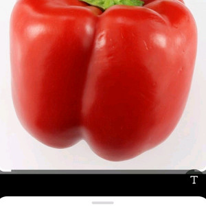 피망 쿠폰 팝니다.