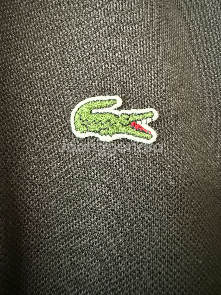 라코스테 긴팔 카라티 클래식핏 L사이즈--1