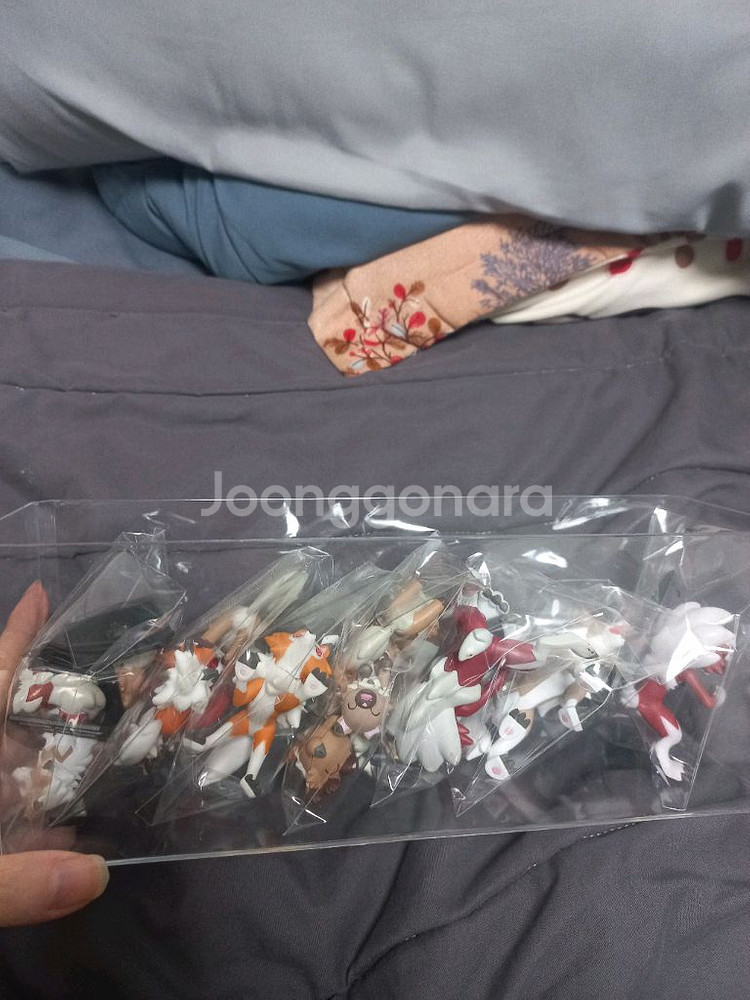 포켓몬 루가루암 암멍이--0